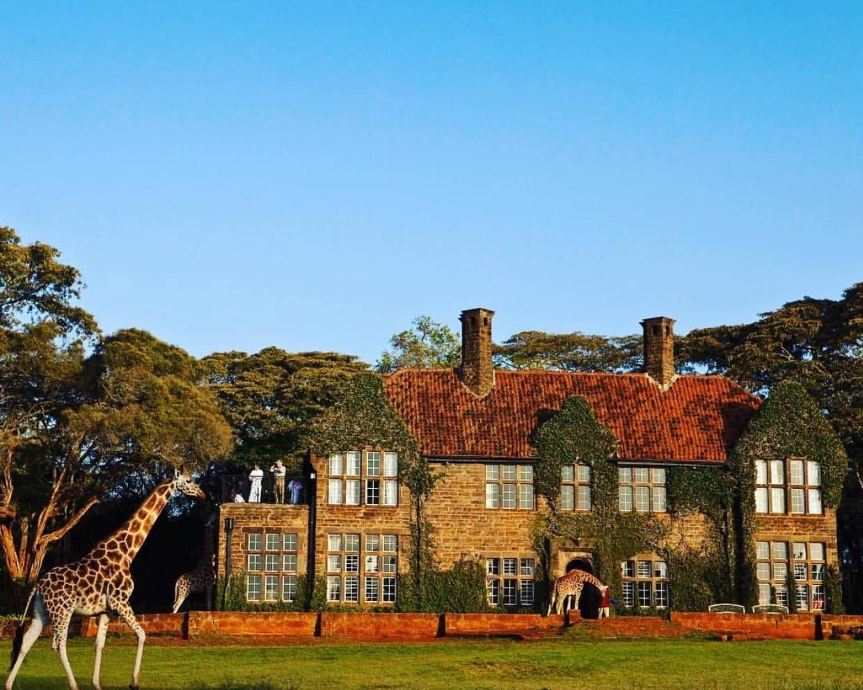 Мечтаната Кения - Жираф Манор, Масай Мара и Диани Бийч 2023