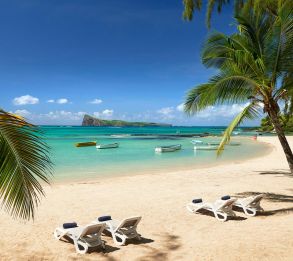 COIN DE MIRE ATTITUDE