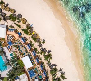 SALT OF PALMAR (ADULTS ONLY 16+)